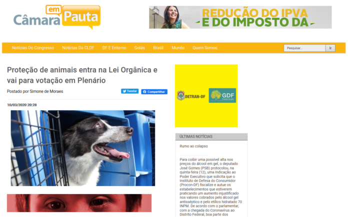 Câmara em Pauta: Proteção de animais entra na Lei Orgânica e vai para votação em Plenário