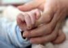 Projeto de Delmasso visa prevenir a mortalidade materno infantil e fetal durante a pandemia