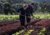 Projeto de Delmasso cria o Programa Primeiro Crédito para a Juventude Rural