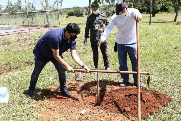 Delmasso e equipe fazem plantio de 500 mudas no parque Ezequias Heringuer