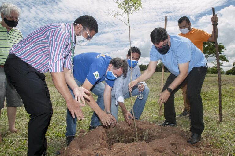 Delmasso promove plantio de mudas no Parque do Lago Norte