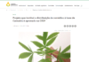 Agência CLDF: Projeto que institui a distribuição de remédios à base de Cannabis é aprovado na CEOF Agência CLDF: Projeto que institui a distribuição de remédios à base de Cannabis é aprovado na CEOF