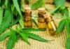 Projeto de Delmasso que institui a distribuição de remédios à base de Cannabis é aprovado na CEOF